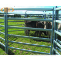 Paneles de ganado de patio de ganado soldado con galvanizado de servicio pesado